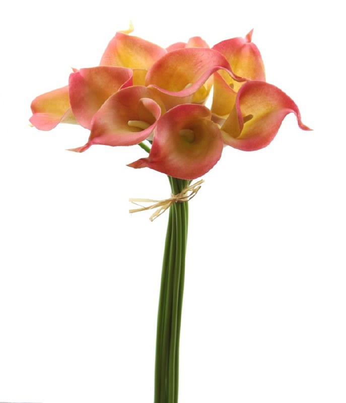 Picture of Calla lily bundle x 9 stems green/pink